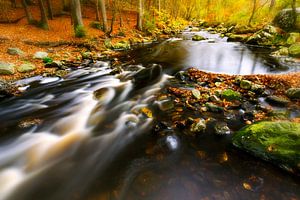 Eau courante dans une forêt d'automne sur Karla Leeftink