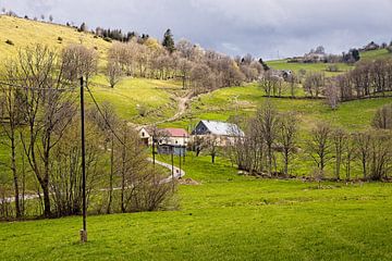 Route des Cretes @ Orbey Le Noirupt