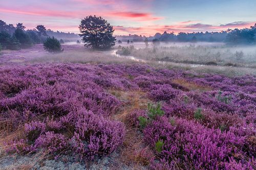 Sunrise at Klein Hasselsven by Joep de Groot