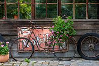 Altes Fahrrad mit Blumen von Tilo Grellmann Miniaturansicht