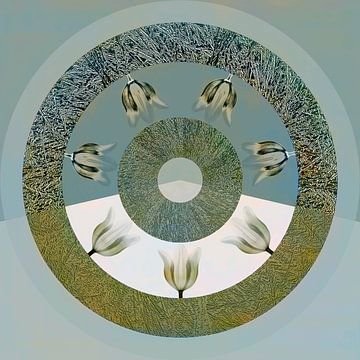 A tulip circle by Jeanet Francke