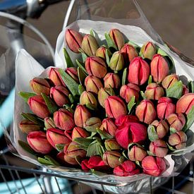 Tulipes du marché dans un panier de vélo rétro sur Blond Beeld