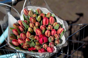 Tulips from the market in retro bike basket by Blond Beeld