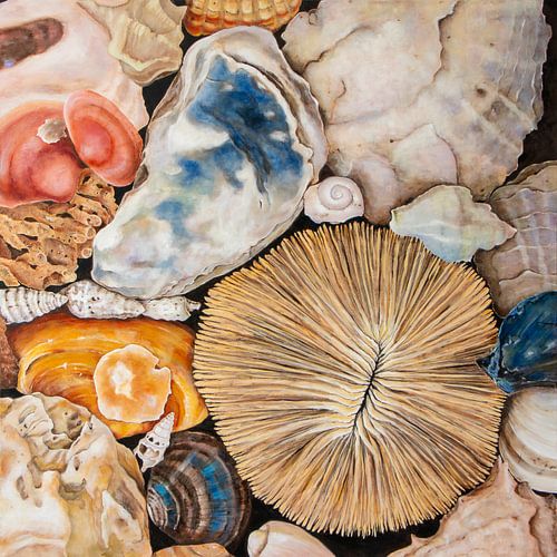 Portugiesische Muscheln von Jolanda Oosterhoff