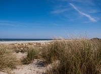 Duinen, strand en zee, Terschelling