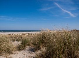 Duinen, strand en zee, Terschelling by Rinke Velds
