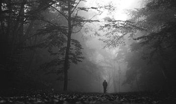 Misty forest walk van Thomas Kuipers