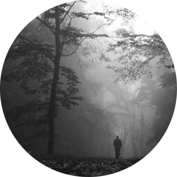 Misty forest walk van Thomas Kuipers