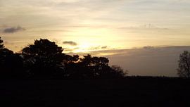 Boomen met mooie lucht op heide van Wessel Bakker