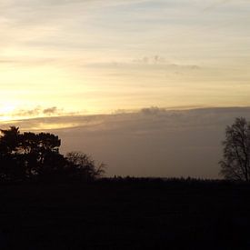 Boomen met mooie lucht op heide von Wessel Bakker