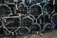 Fishnet