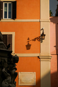 Straßenszene Vogel Schatten Rom Italien
