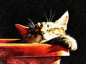 Wake Me When It Is Dinner Time by Dorothy Berry-Lound thumbnail