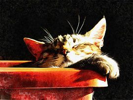 Wake Me When It Is Dinner Time by Dorothy Berry-Lound