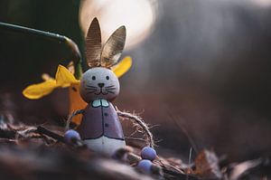 ruhender Osterhase