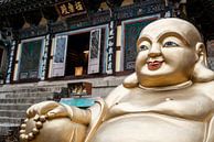 Goldener Buddha in Südkorea von Mickéle Godderis Miniaturansicht