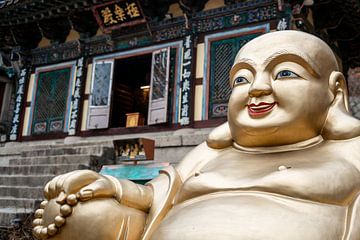 Goldener Buddha in Südkorea von Mickéle Godderis