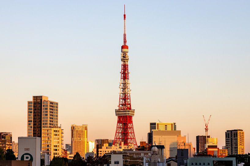 Tokyo by Hello Pompoyo
