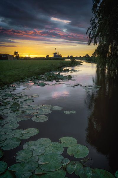 The windmills of the Nieuwe Driemanspolder by Roy Poots