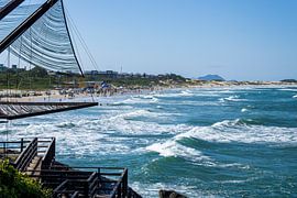 Küstenvegetation und Küstenlinie – Naturfotografie voller Ruhe