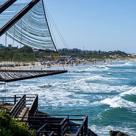 Végétation côtière et rivage – Photographie de nature apaisante sur Piret Victoria Ribas Art & Photography