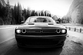 Dodge Challenger by Erik de Klerck