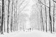 Winter van Ruud van Ravenswaaij thumbnail