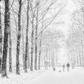 Winter by Ruud van Ravenswaaij