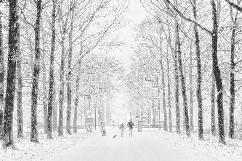 Winter von Ruud van Ravenswaaij