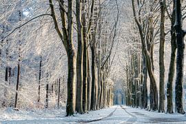 L'hiver sur Marco Lok