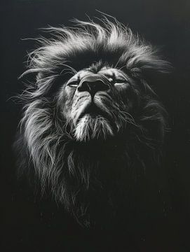 La majesté en monochrome - Le lion royal - noir et blanc sur Eva Lee