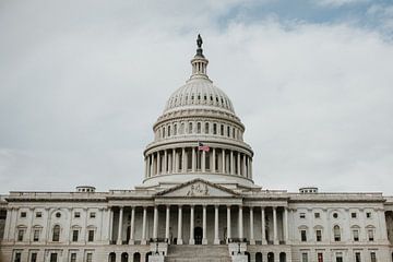 Capitol Hill, Washington D.C., United States by Trix Leeflang