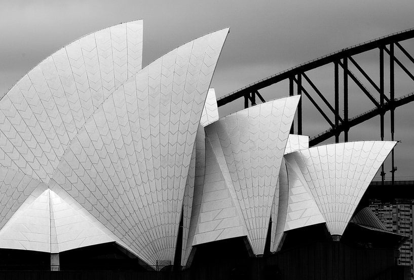 Opera house Sydney, Alida van Zaane by 1x