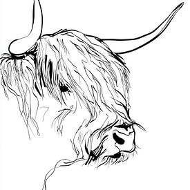 Minimalistischer schottischer Highlander von Lauren Wilde