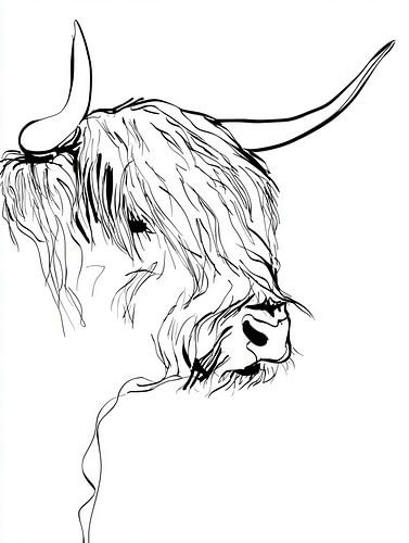 Minimalistische Schotse Hooglander