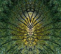 Jungle créative en jaune et vert.