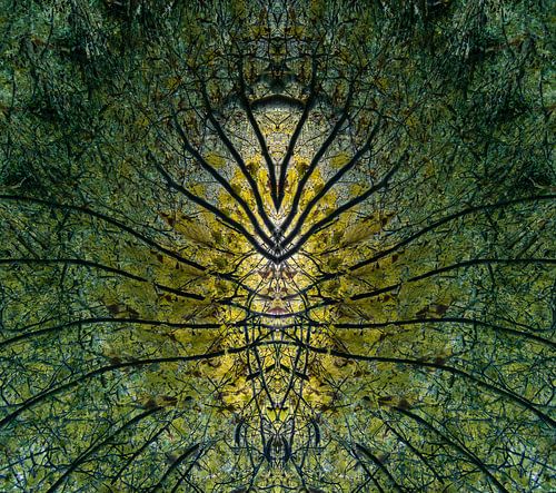 Creatieve jungle in geel en groen.