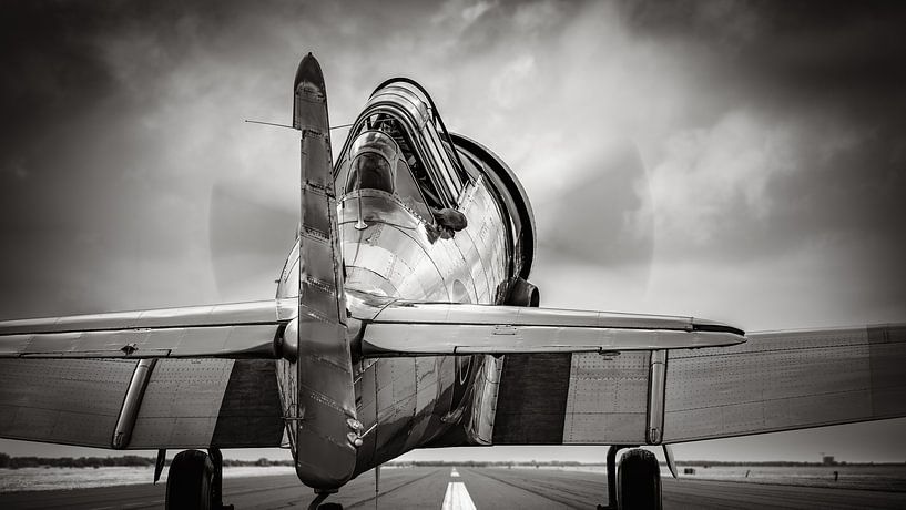 north american T6 by Frank Peters