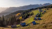 Planina Zajamniki - Herfstblik van Teun Ruijters thumbnail