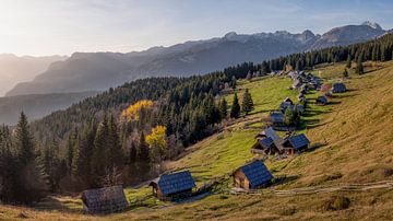 Planina Zajamniki - Herbstblick von Teun Ruijters