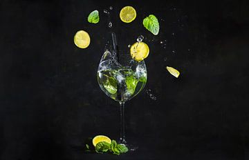 Gin tonic met munt en citroen, gin tonic with mint and lemon.