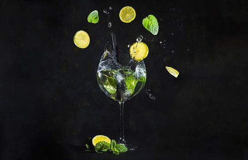 Gin tonic met munt en citroen, gin tonic with mint and lemon.