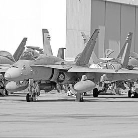 Rijtje McDonnell Douglas F-18 Hornets van het Amerikaanse Korps Mariniers zwart wit van Ramon Berk