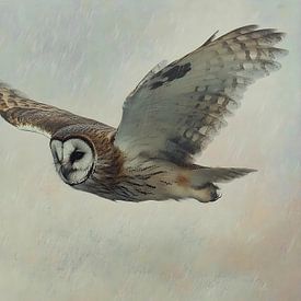 Flying splendour by But First Framing