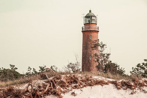 Darss lighthouse by Steffen Gierok