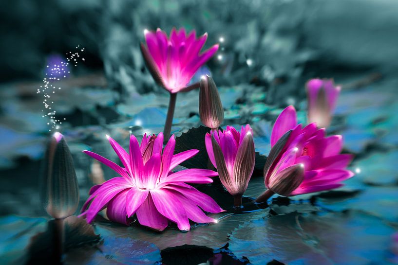 SEEROSENTEICH par INA FineArt