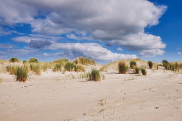 duinen van waddeneiland Texel van eric van der eijk