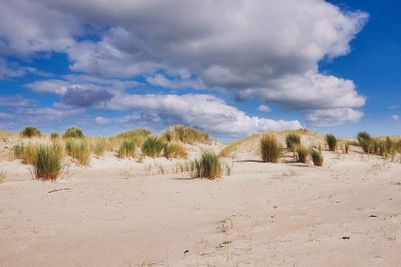 dunes of wadden island Texel by eric van der eijk