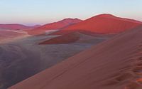 Het laatste licht op de rode zandheuvels van Sossusvlei
