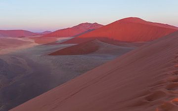 Het laatste licht op de rode zandheuvels van Sossusvlei